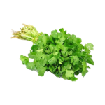 Cilantro por manojito