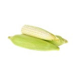 Elote criollo blanco por unidad